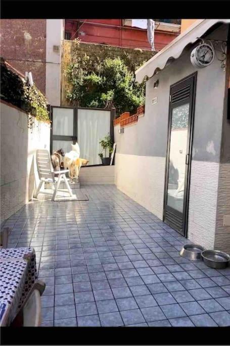 Napoli Centro Casa Con Due Camere E Cucina Ngoại thất bức ảnh